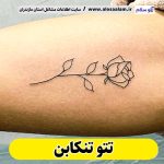 تتو تنکابن، تتو کار تنکابن، تتوکار تنکابن، سالن تتو تنکابن،تتو مردانه تنکابن، تتو زنانه تنکابن، تتو ابرو تنکابن،تتو صورت تنکابن، تتو بدن تنکابن، تاتوکار تنکابن، تاتو تنکابن، تاتو کار زن تنکابن، تاتو کار مرد تنکابن، الو سلام، الو سلام تنکابن، سایت تنکابن، سایت مشاغل تنکابن