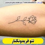 تتو فریدونکنار، تتو کار فریدونکنار، تتوکار فریدونکنار، سالن تتو فریدونکنار تتو مردانه فریدونکنار، تتو زنانه فریدونکنار، تتو ابرو فریدونکنار، تتو صورت فریدونکنار، تتو بدن فریدونکنار تاتوکار فریدونکنار، تاتو فریدونکنار، تاتو کار زن فریدونکنار، تاتو کار مرد فریدونکنار، الو سلام، الو سلام فریدونکنار، سایت فریدونکنار، سایت مشاغل فریدونکنار
