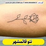 تتو قائمشهر، تتو کار بابل، تتوکار قائمشهر، سالن تتو قائمشهر، تتو مردانه قائمشهر، تتو زنانه قائمشهر، تتو ابرو قائمشهر، تتو صورت قائمشهر، تتو بدن قائمشهر، تاتو قائمشهر، تاتو کار قائمشهر، تاتو کار قائمشهر، سالن تاتو قائمشهر، تاتو مردانه قائمشهر، تاتو زنانه قائمشهر، تاتو ابرو قائمشهر، تاتو صورت قائمشهر، تاتو بدن قائمشهر، الو سلام، الو سلام قائمشهر، سایت قائمشهر، سایت مشاغل قائمشهر