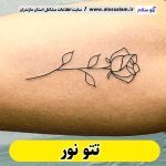تتو نور، تتو کار نور، تتوکار نور، سالن تتو نور، تتو مردانه نور، تتو زنانه نور، تتو ابرو نور، تتو صورت نور، تتو بدن نور، تاتو نور، تاتو کار نور، تاتو کار نور، سالن تاتو نور، تاتو مردانه نور، تاتو زنانه نور، تاتو ابرو نور، تاتو صورت نور، تاتو بدن نور، تتو چمستان ، تتو رویان ، تتو ایزدشهر، تتو ایزده، تتو کار چمستان، تتوکار رویان، الو سلام، الو سلام نور، سایت نور، سایت مشاغل نور