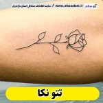 تتو نکا، تتو کار نکا، تتوکار نکا، سالن تتو نکا، تتو مردانه نکا، تتو زنانه نکا، تتو ابرو نکا، تتو صورت نکا، تتو بدن نکا، تاتوکار نکا، تاتو نکا، تاتو کار زن نکا، تاتو کار مرد نکا، الو سلام، الو سلام نکا، سایت نکا، سایت مشاغل نکا، سایت مشاغل الو سلام، سایت مشاغل مازندران