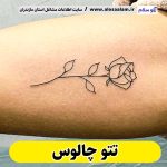 تتو چالوس، تتو کار چالوس، تتوکار چالوس، سالن تتو چالوس، تتو مردانه چالوس، تتو زنانه چالوس، تتو ابرو چالوس، تتو صورت چالوس، تتو بدن چالوس، الو سلام، الو سلام چالوس، سایت چالوس، سایت مشاغل چالوس
