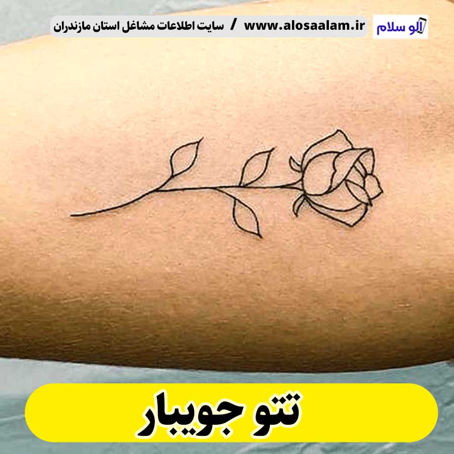 تتو جویبار، تتو کار جویبار، تتوکار جویبار، سالن تتو جویبار، تتو مردانه جویبار، تتو زنانه جویبار، تتو ابرو جویبار، تتو صورت جویبار، تتو بدن جویبار، تاتو جویبار، تاتو کار جویبار، تاتو کار جویبار، سالن تاتو جویبار، تاتو مردانه جویبار، تاتو زنانه جویبار، تاتو ابرو جویبار، تاتو صورت جویبار، تاتو بدن جویبار، الو سلام، الو سلام جویبار، سایت جویبار، سایت مشاغل جویبار