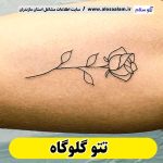 تتو گلوگاه، تتو کار گلوگاه، تتوکار گلوگاه، سالن تتو گلوگاه،تتو مردانه گلوگاه، تتو زنانه گلوگاه، تتو ابرو گلوگاه، تتو صورت گلوگاه، تتو بدن گلوگاه، تاتوکار گلوگاه، تاتو گلوگاه، تاتو کار زن گلوگاه، تاتو کار مرد گلوگاه، الو سلام، الو سلام گلوگاه، سایت گلوگاه، سایت مشاغل گلوگاه