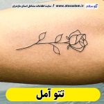 تتو آمل، تتو کار آمل، تتوکار آمل، سالن تتو آمل، تتو مردانه آمل، تتو زنانه آمل، تتو ابرو آمل، تتو صورت آمل، تتو بدن آمل، تاتو آمل، تاتو کار آمل، تاتو کار آمل، سالن تاتو آمل، تاتو مردانه آمل، تاتو زنانه آمل، تاتو ابرو آمل، تاتو صورت آمل، تاتو بدن آمل، الو سلام، الو سلام آمل، سایت آمل، سایت مشاغل آمل