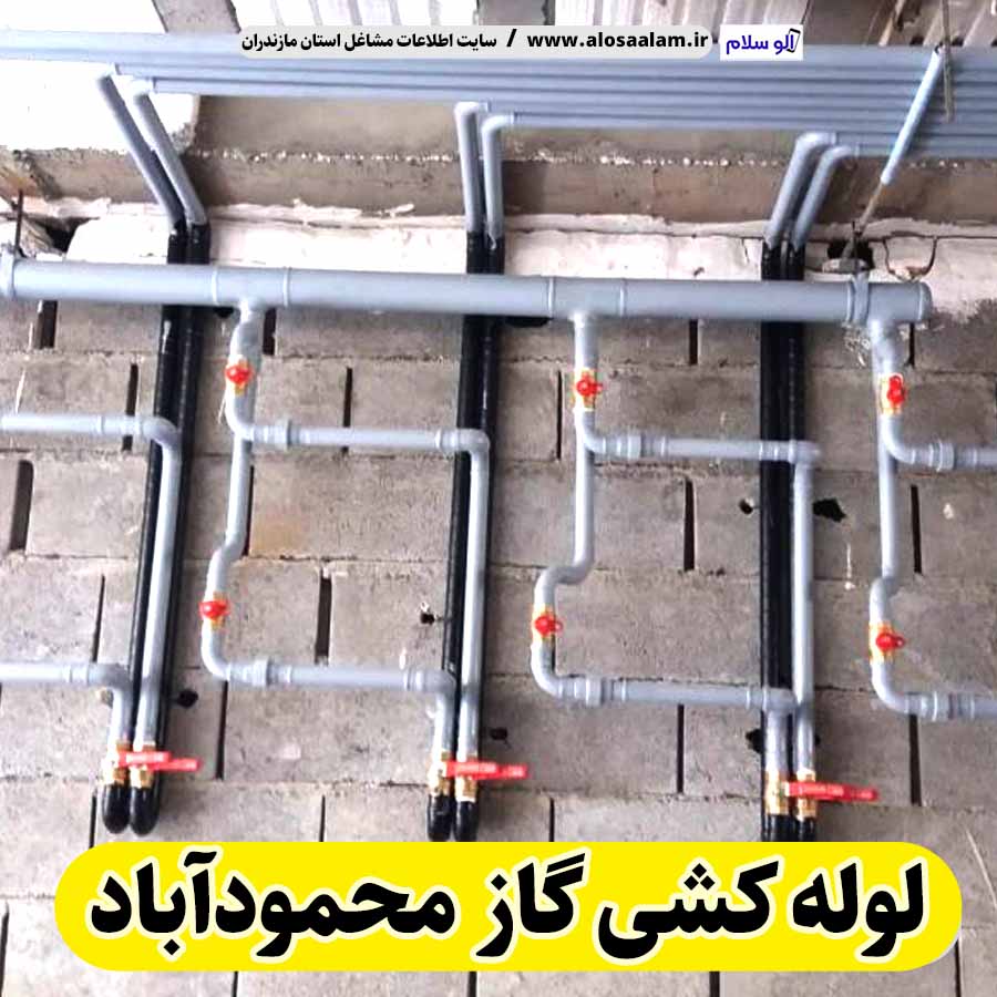 لوله کشی گاز محمودآباد، لوله کش گاز محمودآباد، پیمانکاری لوله کشی گاز محمودآباد، پیمانکاری گاز محمودآباد، شرکت لوله کشی گاز محمودآباد، الو سلام، الو سلام محمودآباد، سایت مشاغل محمودآباد، سایت ثبت مشاغل