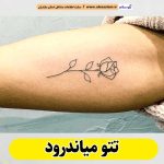 تتو میاندرود، تتو کار میاندرود، تتوکار میاندرود، سالن تتو میاندرود، تتو مردانه میاندرود، تتو زنانه میاندرود، تتو ابرو میاندرود، تتو صورت میاندرود، تتو بدن میاندرود، تاتوکار میاندرود، تاتو میاندرود، تاتو کار زن میاندرود، تاتو کار مرد میاندرود، الو سلام، الو سلام میاندرود، سایت میاندرود، سایت مشاغل گلوگاه