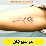 تتو سیرجان، تتو کار سیرجان، تتوکار سیرجان، سالن تتو سیرجان، تتو مردانه سیرجان، تتو زنانه سیرجان، تتو ابرو سیرجان، تتو صورت سیرجان، تتو بدن سیرجان، سلام سیرجان، الو سلام مشاغل، سایت مشاغل سیرجان، سایت ثبت مشاغل، الو سلام