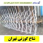 شاخ گوزنی تهران، حفاظ شاخ گوزنی تهران، تولیدی شاخ گوزنی تهران، قیمت شاخ گوزنی تهران، سرنیزه آبشاری تهران، الوسلام تهران،  الو سلام مشاغل، سایت مشاغل تهران، سایت مشاغل استان تهران، سایت ثبت مشاغل ایران، بازاریاب اینترنتی مشاغل ایران، سایت ثبت شغل در گوکل، الو سلام