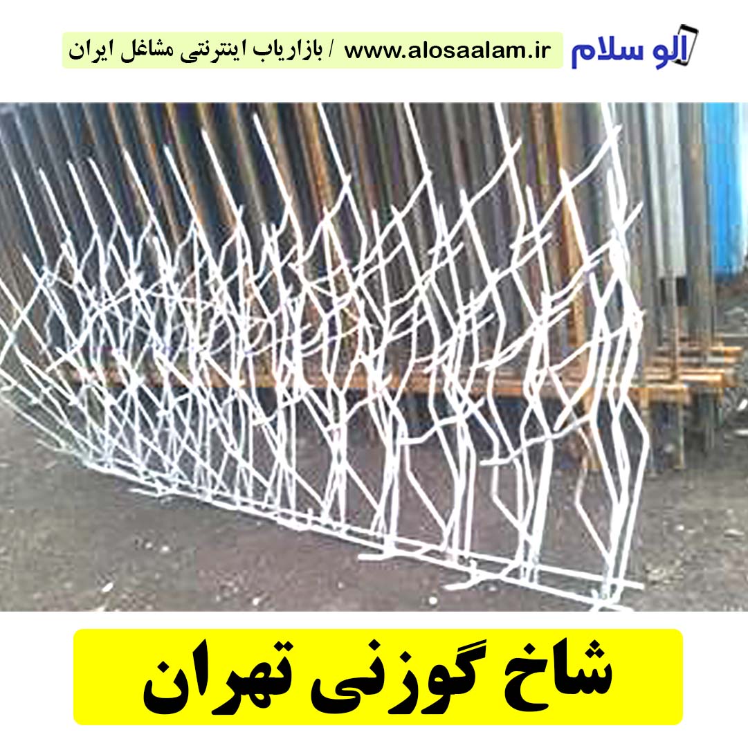 شاخ گوزنی تهران، حفاظ شاخ گوزنی تهران، تولیدی شاخ گوزنی تهران، قیمت شاخ گوزنی تهران، سرنیزه آبشاری تهران، الوسلام تهران،  الو سلام مشاغل، سایت مشاغل تهران، سایت مشاغل استان تهران، سایت ثبت مشاغل ایران، بازاریاب اینترنتی مشاغل ایران، سایت ثبت شغل در گوکل، الو سلام